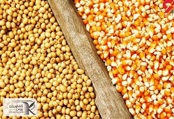 قیمت ذرت تا کیلویی 13 هزار و 700 تومان نیز ارتقا پیدا کرده.