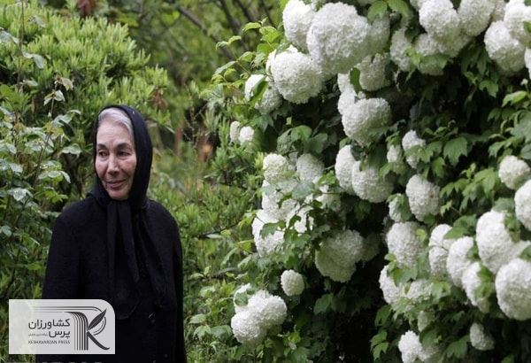 به همین زندگی معمولی کشاورزی قانع هستم/  کشاورزان با هزینه‌های بالای تولید دست به گریبانند
