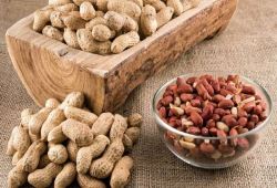 اجرای طرح ابیاری تحت فشار در حدود ۴۰ درصد از اراضی ضروری است