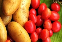 قیمت گوجه فرنگی و سیب زمینی افزایش یافته است