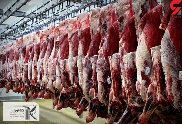 دام‌های مولد را روانه کشتارگاه‌ها کردند