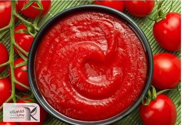  احتمال کاهش نرخ گوجه فرنگی در ماه‌های آینده وجود دارد
