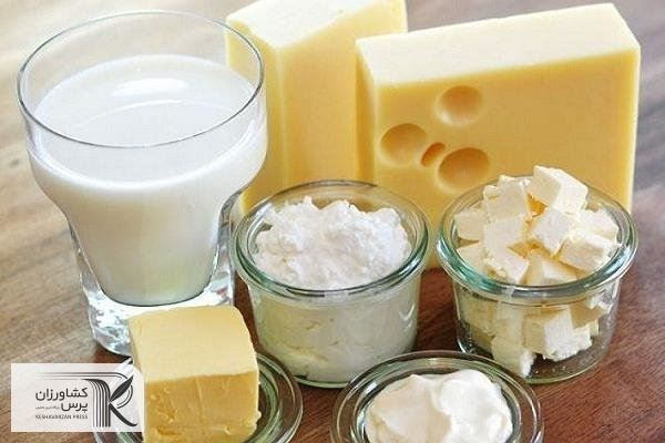 عوارض صادراتی برخی از محصولات پروتئینی و لبنی حذف شد