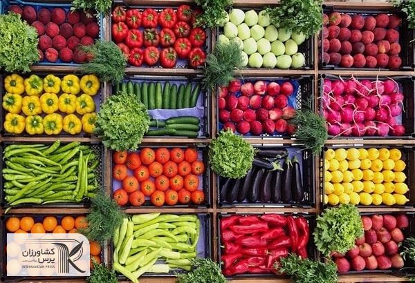 متأسفانه هیچ پشتوانه‌ای نه برای صادرکننده و نه کشاورز وجود ندارد
