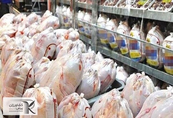 نهاده های دامی با قیمت ارز نیمایی به موقع به دست مرغداری ها نمی رسد