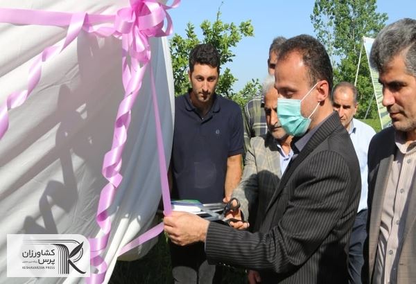 برای نخستین بار کمباین برداشت چای در کشور ساخته شد