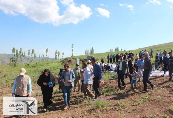برگزاری تورهای آموزشی ترویجی بهترین روش ترویج برای انتقال دانش به کشاورزان است 