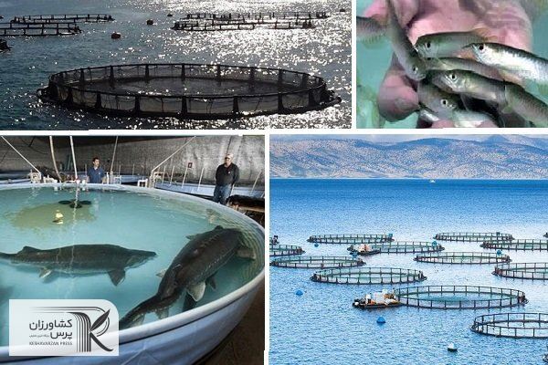 گردشگری شیلاتی ظرفیت بالایی در درآمدزایی استان دارد