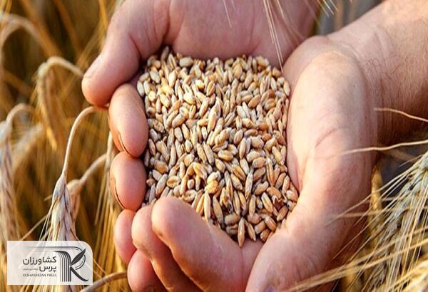 نمی‌توان تضمین کرد که غلات انبار شده در اوکراین راهی ایران شود