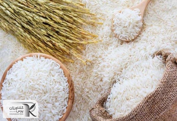 50 درصد برنج داخلی در شالی‌کوبی‌های سنتی از بین می‌رود