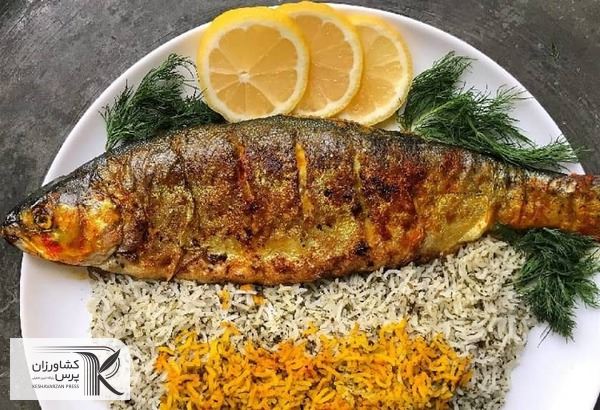 انواع ماهی باید در سبد غذایی جامعه افزایش یابد
