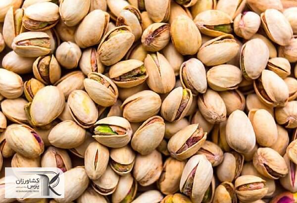 صادرات پسته ایران به اتحادیه اروپا با کاهش ۱۵ درصدی مواجه شده است