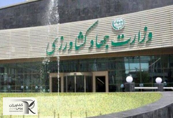 مسئولان نگاه سطحی به کارکنان وزارت کشاورزی دارند
