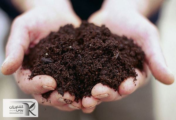 40 هزار میلیارد ریال تسهیلات ویژه به کشاورزان پرداخت می‌شود