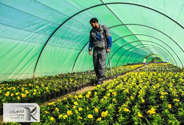 اختصاص ۴۳۲ میلیارد تومان تسهیلات صندوق نوآوری به شرکت‌های دانش‌بنیان بخش کشاورزی