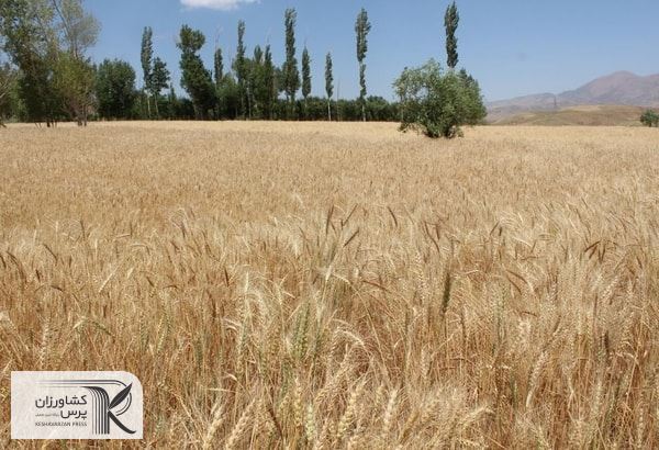 یکی از بخش‌هایی که ما را از وابستگی به نفت نجات می‌دهد، بخش کشاورزی است
