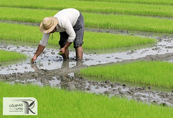 استفاده از کلر باعث تخریب و مسمومیت خاک زراعی می‌شود