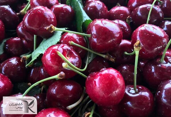گیلاس یک میوه لاکچری شده است