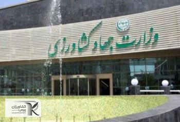 مسئولان نگاه سطحی به کارکنان وزارت کشاورزی دارند