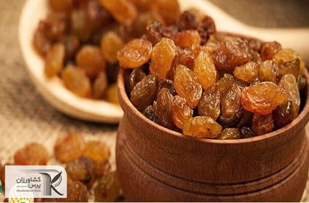 پیشنهاد کشمش در برابر نفت طالبان به روسیه