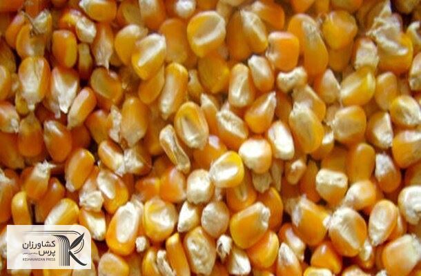 چرا صادرات اوکراین قیمت های جهانی را کاهش نمی دهد