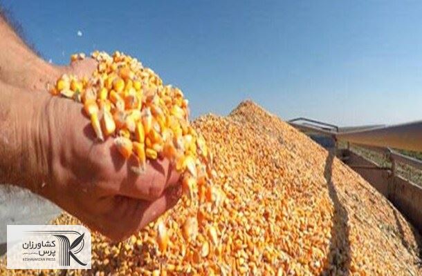  لبنان محموله ذرت اوکراین را باز نکرده پس فرستاد 