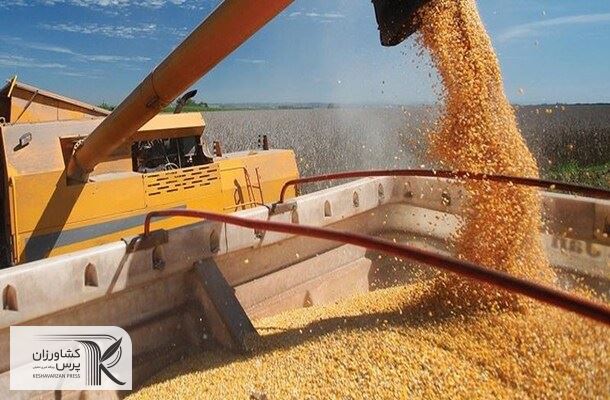  محموله 44 هزار تنی گندم وارداتی در بندر چابهار تخلیه شد 