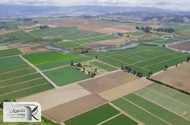 فاینانس چین برای اجرای فاز دوم طرح 550 هزار هکتاری خوزستان نهایی می‌شود