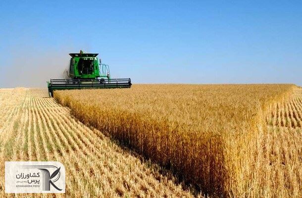خبرهای خوب از برداشت گندم و غلات در روسیه