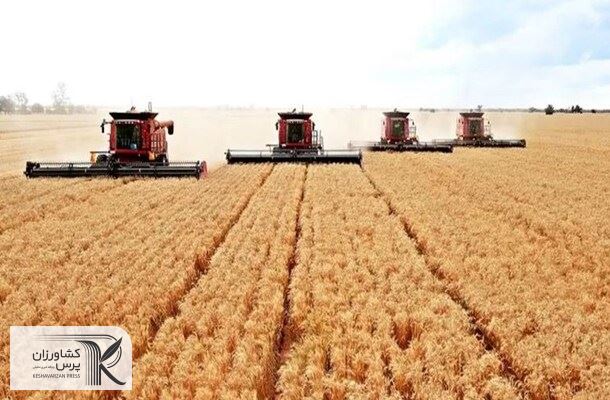 رشد 3 میلیون تنی خرید تضمینی گندم در یک سال/‌ برنامه دولت برای خودکفایی در شکر و پنبه