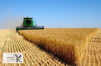 خبرهای خوب از برداشت گندم و غلات در روسیه