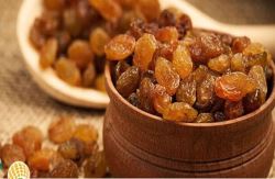 پیشنهاد کشمش در برابر نفت طالبان به روسیه