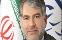 عملکرد کشاورزی دولت/ تولید 11 میلیون تن گندم و افزایش 30 درصدی برنج