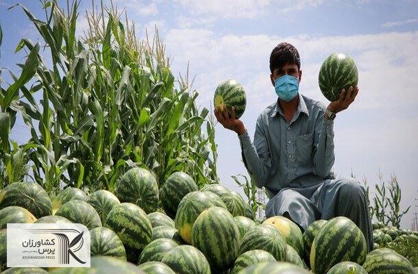 تجارت آب مجازی حلقه مفقوده در کاهش مصرف آب بخش کشاورزی