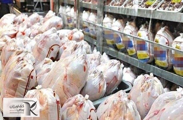بررسی دو دلیل افزایش قیمت مرغ/سیاست فعلی کشورها ذخیره سازی است