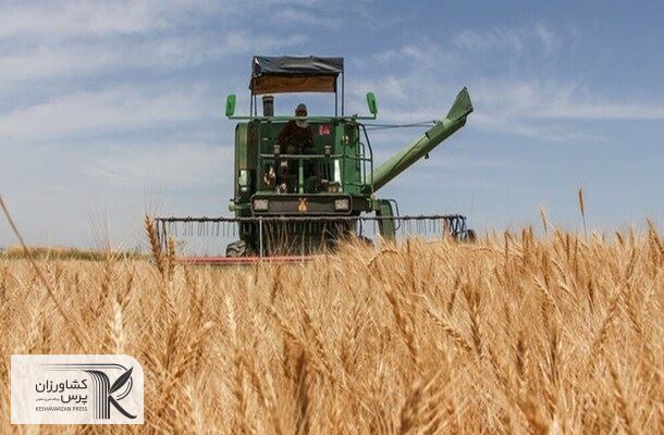 نرخ خرید تضمینی گندم اعلام شد