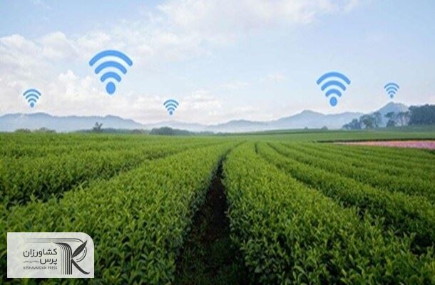 ابلاغ تخصیص ۲۰ درصد سهم منابع کشاورزی بانک‌ها برای کشاورزی قراردادی