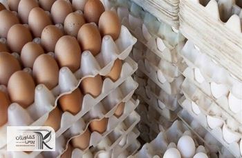 ترکیه با پرداخت یارانه به صادر کنندگان تخم مرغ بازار منطقه را گرفته است