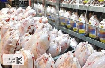 بررسی دو دلیل افزایش قیمت مرغ/سیاست فعلی کشورها ذخیره سازی است