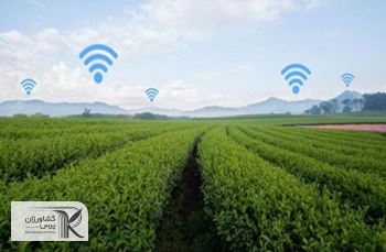 ابلاغ تخصیص ۲۰ درصد سهم منابع کشاورزی بانک‌ها برای کشاورزی قراردادی