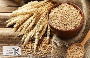 قیمت خرید تضمینی محصولات اساسی کشاورزی اعلام شد