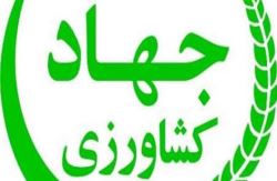 اتصال وزارت جهاد کشاورزی به درگاه ملی خدمات هوشمند دولت