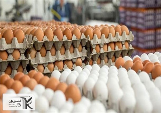 اختلاف فاحش قیمت تخم مرغ درب مرغداری و فروشگاه به جیب چه کسانی می‌رود