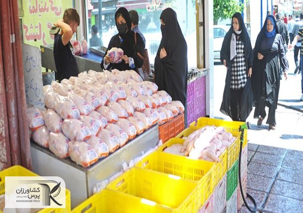 عرضه مرغ زیر قیمت مصوب/ خبری از مرغ 100 هزارتومانی منتقدان دولت نشد‌