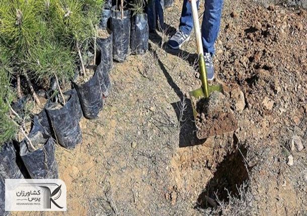 آ‌غاز پویش کاشت یک میلیارد اصله درخت در هفته منابع طبیعی/ ‌100 درصد مجوزهای منابع طبیعی‌ سیستمی می‌شود
