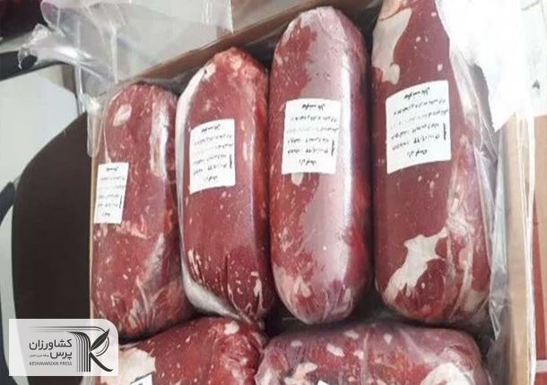 2 اقدام دولت برای کاهش نرخ گوشت/ آغاز توزیع گسترده گوشت قرمز منجمد به نرخ دولتی
