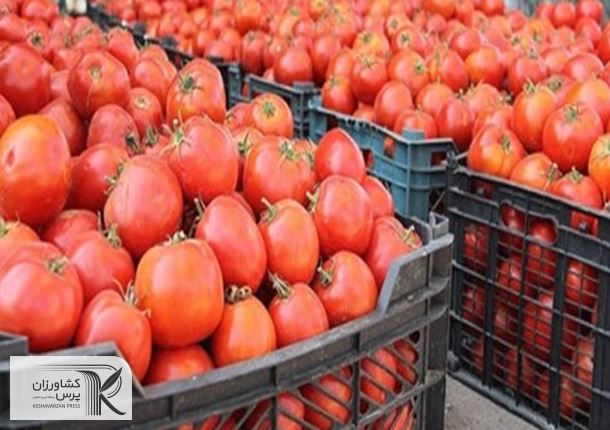 عوارض صادرات محصولات آب‌بر برای تقویت تولید کالاهای اساسی دو برابر شد