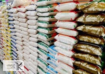 ورود برنج ایرانی به بازارهای صادراتی/دسترنج شالیکاران از رکود خارج می شود