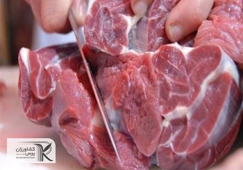 5 دلیل گرانی گوشت و‌ 5 راهکارِ کاهش قیمت/‌ ضرورت تضمین تأمین نهاده و مدیریت صادرات دام