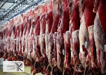 گوشت گرم گوسفندی وارداتی از هفته آینده عرضه بازار می شود
